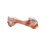 قلم گوساله